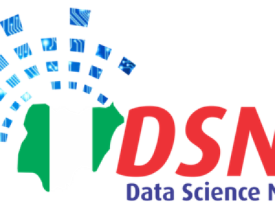 DSN logo